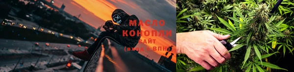 дживик Бронницы