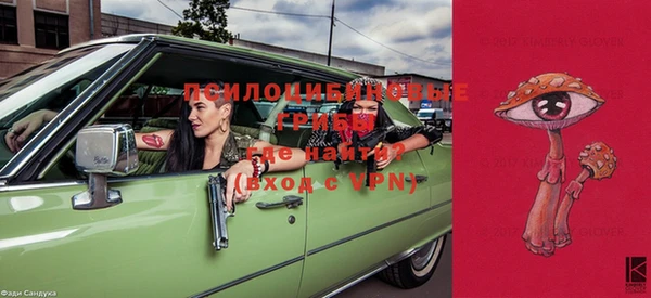 дживик Бронницы